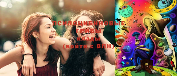 тгк Аркадак