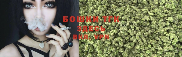 тгк Аркадак