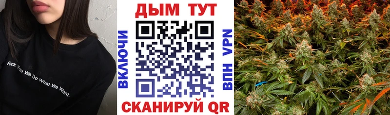 мега маркетплейс  Гурьевск  Шишки марихуана план  магазин продажи  